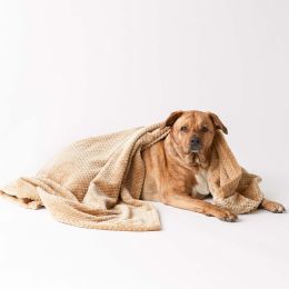 Bone Dry Microfiber Pet Blanket - 36 x 54 Taupe