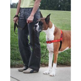 PetSafe Deluxe Easy Walk Steel Dog Harness Black, Rose Medium/Large