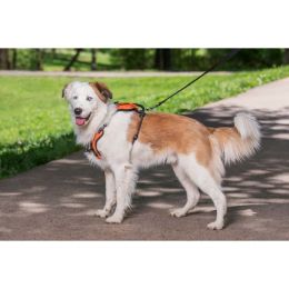 PetSafe Walk Along Outdoor Dog Harness Orange Medium
