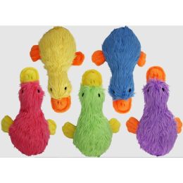 ? MP D DCKWORTH ASST 13"
