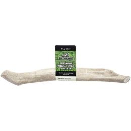 Redbarn Pet Products Natural Deer Whole Antler Dog Treat Extra-Large 2.4 oz