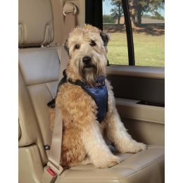 PetSafe Happy Ride Safety Dog Harness Black, Blue 1ea/Medium