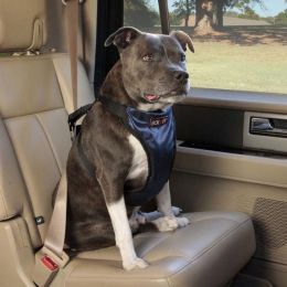 PetSafe Happy Ride Safety Dog Harness Black, Blue Large