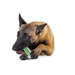 Petstages Crunchcore Bone Dog Chew Toy Medium