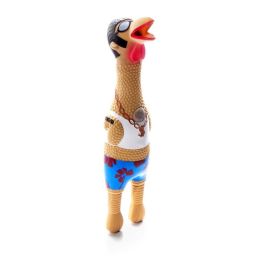 Charming Pet Products Squawkers Earl Dog Toy MultiColor, 1ea/LG
